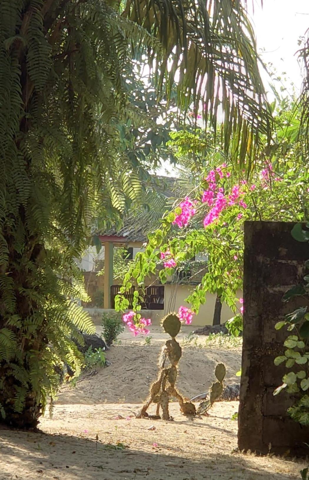 Rundbungalow Auf Lionsrest Grand-Bassam 外观 照片