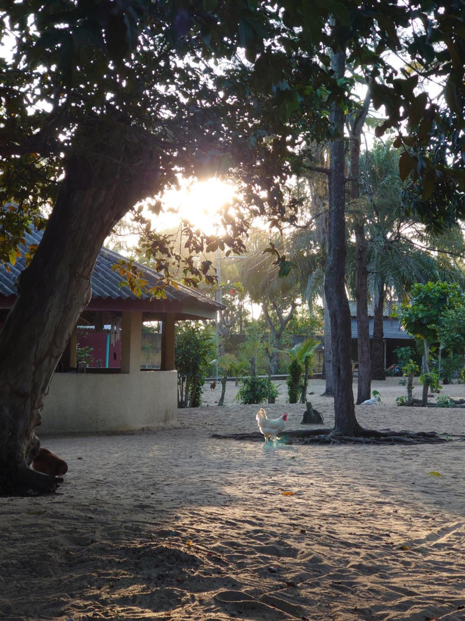 Rundbungalow Auf Lionsrest Grand-Bassam 外观 照片